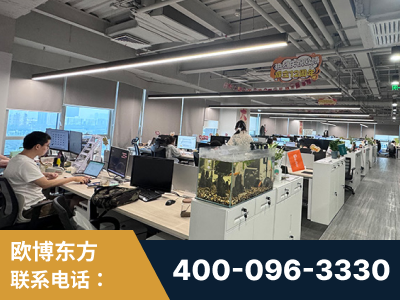 凭祥-企业展示图